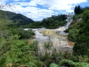 waitomo (43)